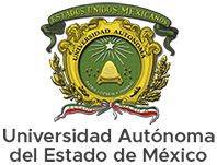 Maestría en Estudios Visuales